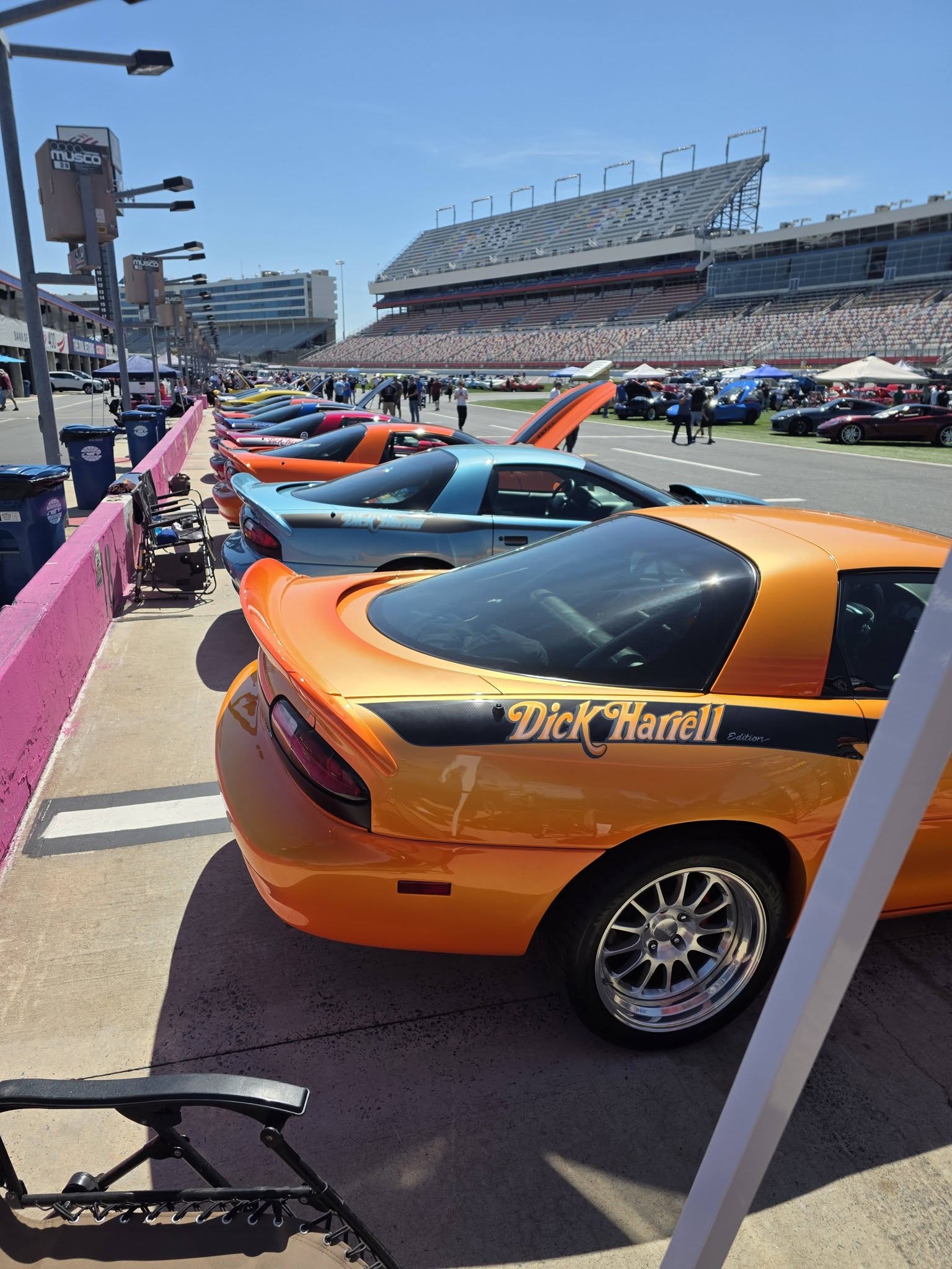 DH Rear.jpg