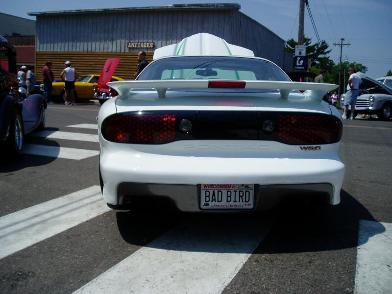 38 Bad Bird rear.jpg