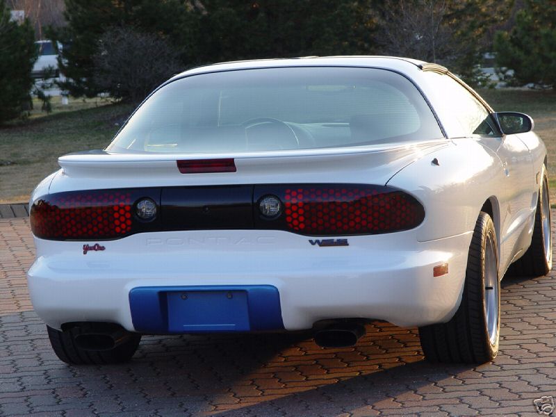 Rear.jpg