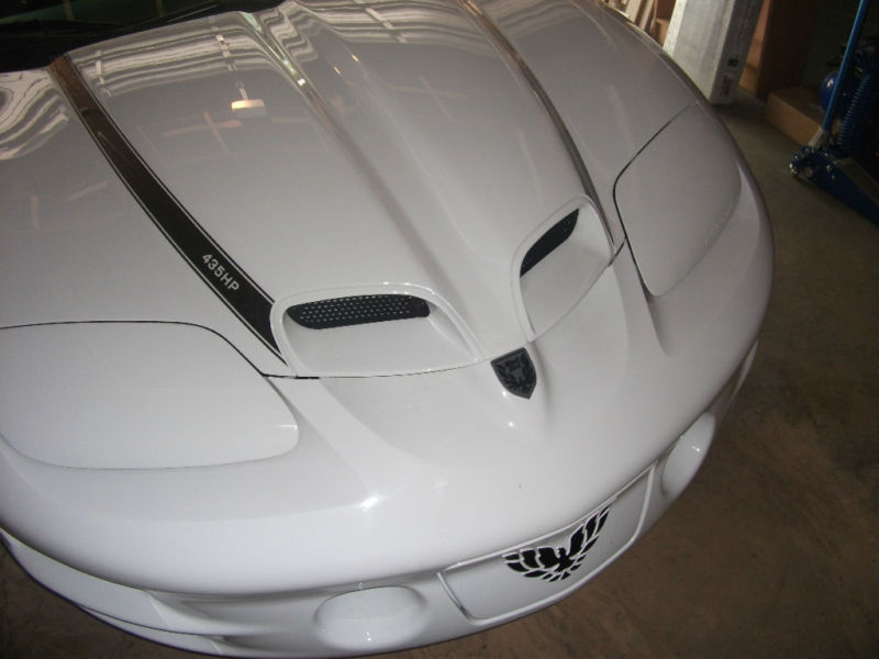 18BB 475hp (30).jpg