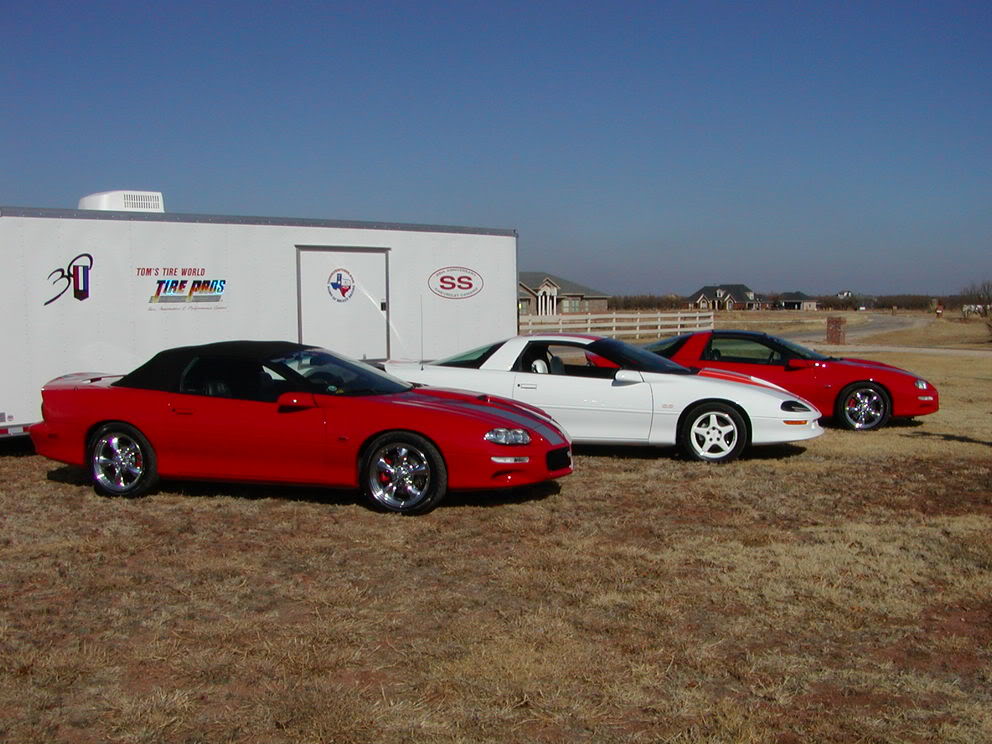 #31 GMMG PE T-Top.jpg
