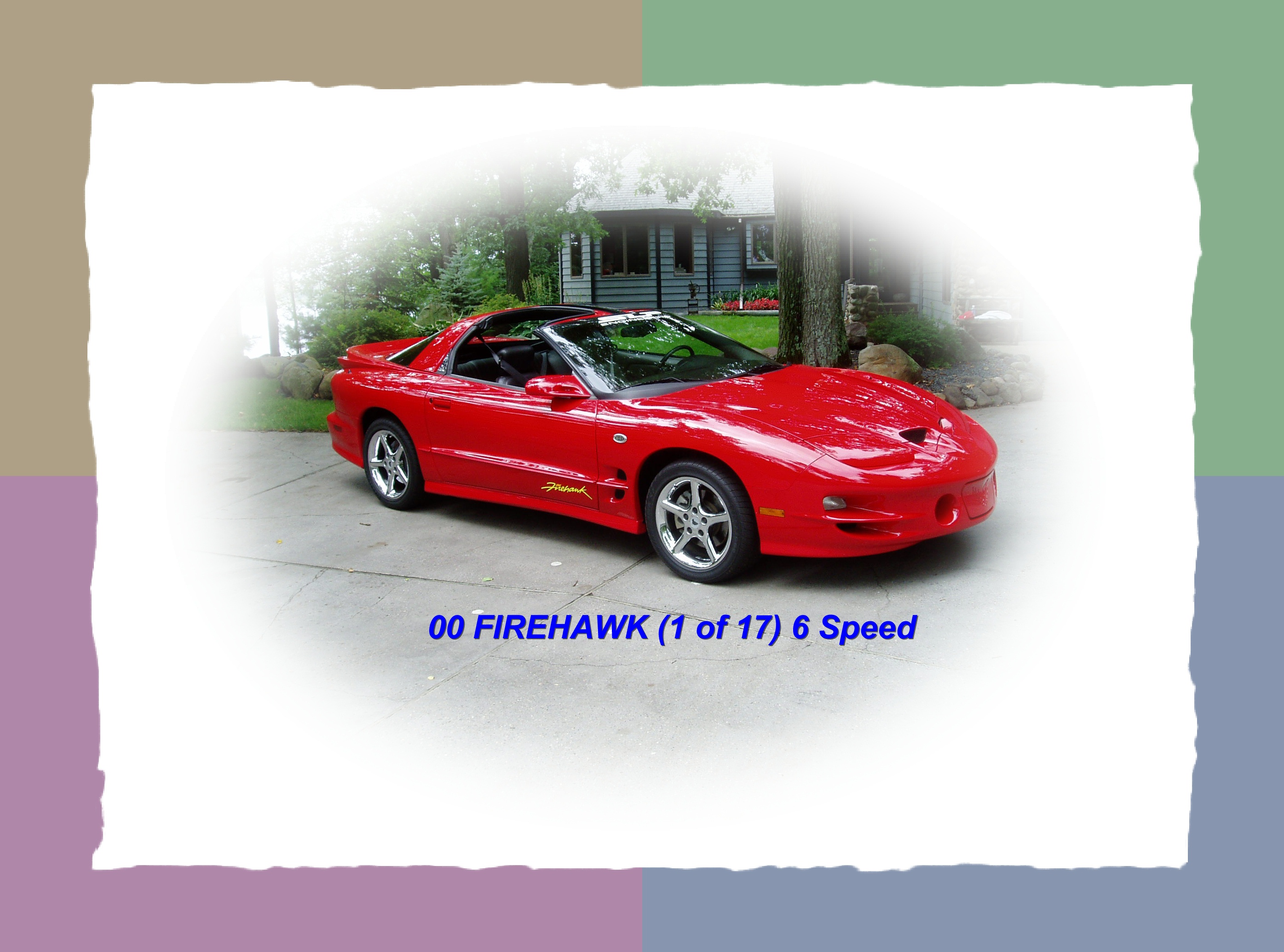 008Firehawk.jpg