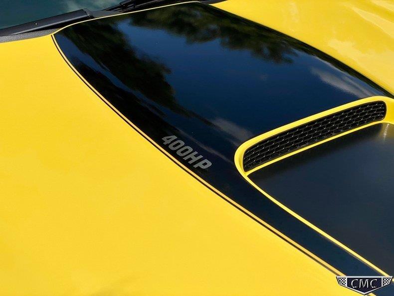 ZL136 Yellow Andy (6).jpg