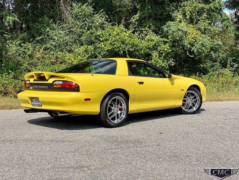 ZL136 Yellow Andy (11).jpg