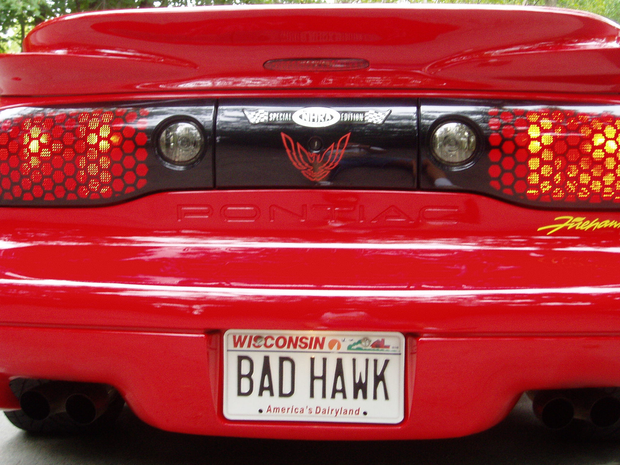 BAD HAWK 0008.jpg