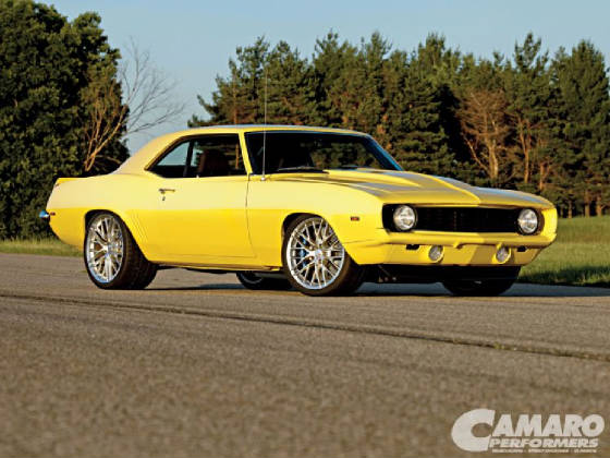 Charley Yellow Hammer.jpg