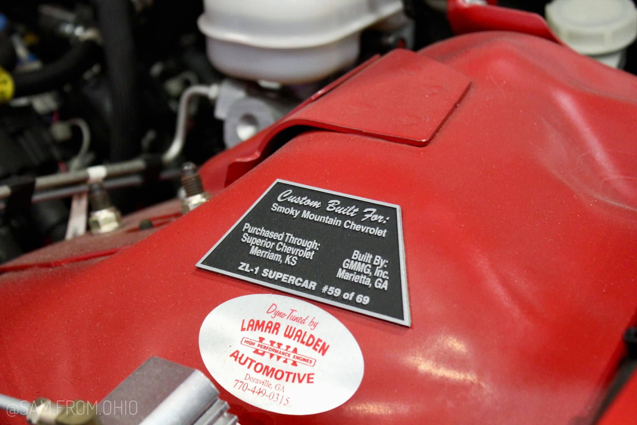 59 ZL1 7 DEI (5).jpg