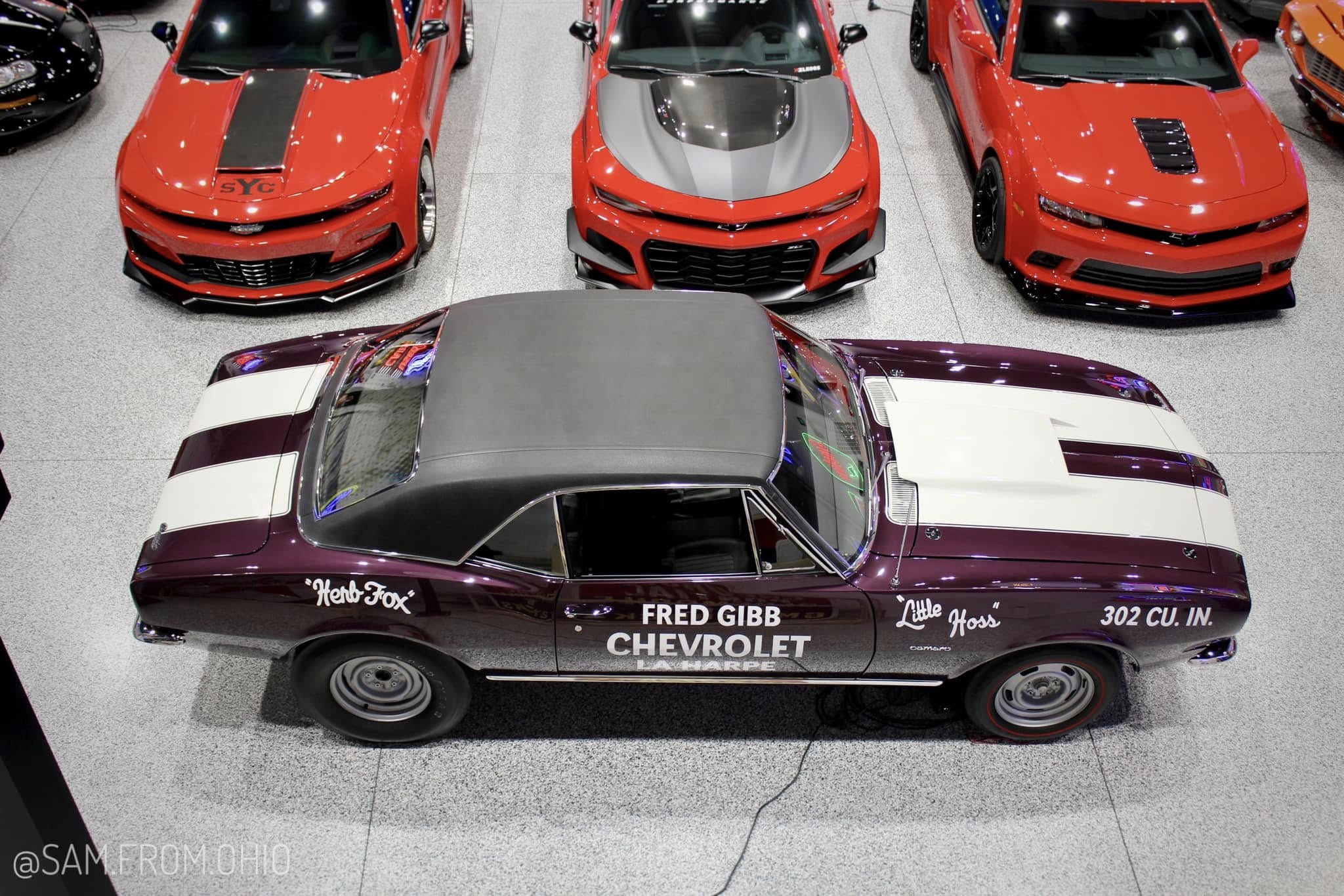 Fred Gibb 1967 (2).jpg